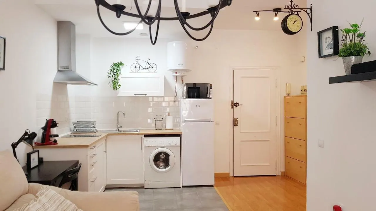 Centro Historico Malaga Apartment